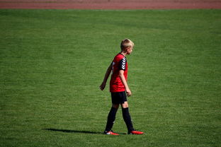 AIYOUXI.COM-NBA球员高原训练对平原比赛状态的影响，平原运动员进行高原训练原因