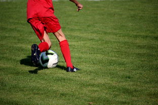 ayx体育-体育新闻中心联合高校打造“体育+传媒”实践课程体系