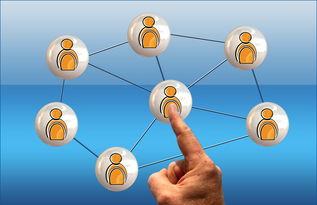 ayx体育-体育新闻中心联合高校打造“体育+传媒”实践课程体系